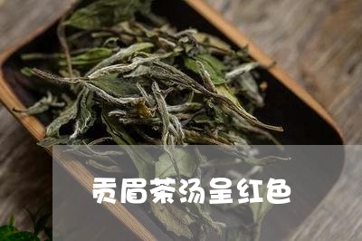 贡眉茶汤呈红色/2023112529581