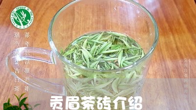 贡眉茶砖介绍/2023052594351