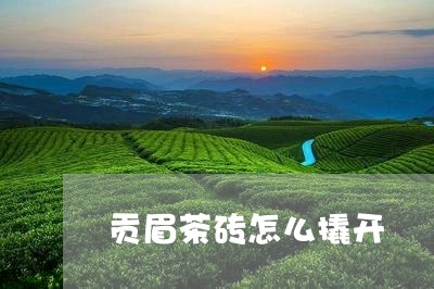 贡眉茶砖怎么撬开/2023090995979