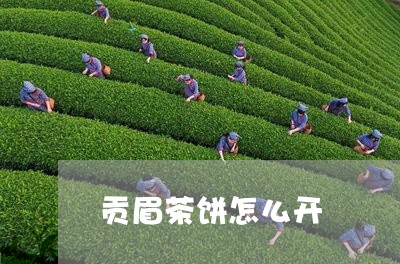 贡眉茶饼怎么开/2023112512738