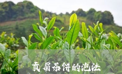 贡眉茶饼的泡法/2023112583606