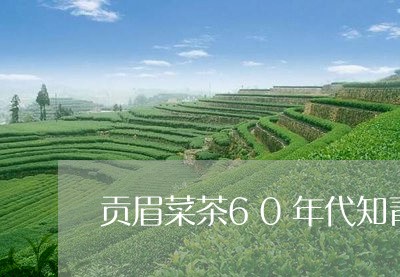 贡眉菜茶60年代知青种的/2023062798251