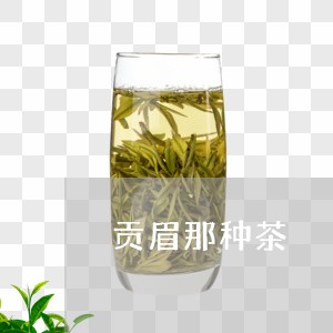 贡眉那种茶/2023082713825