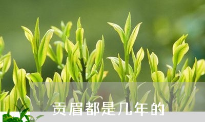 贡眉都是几年的/2023061192303