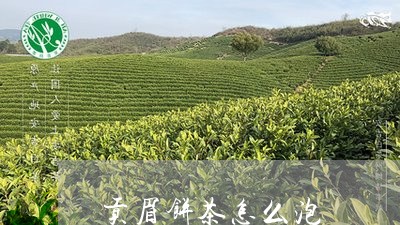 贡眉饼茶怎么泡/2023112518695