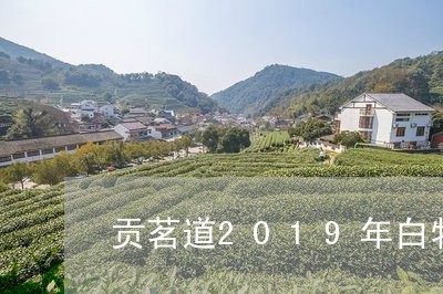 贡茗道2019年白牡丹/2023092350462