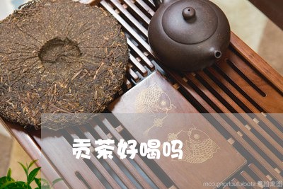 贡茶好喝吗/2023090268482