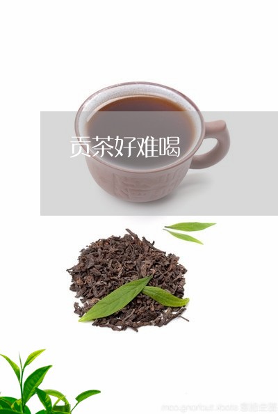 贡茶好难喝/2023121966049