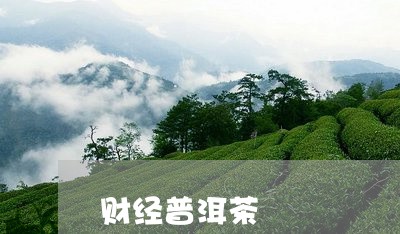 财经普洱茶/2023110383696