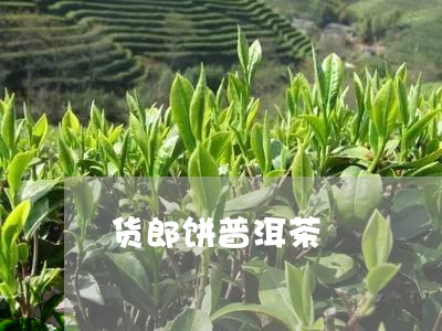 货郎饼普洱茶/2023042795136