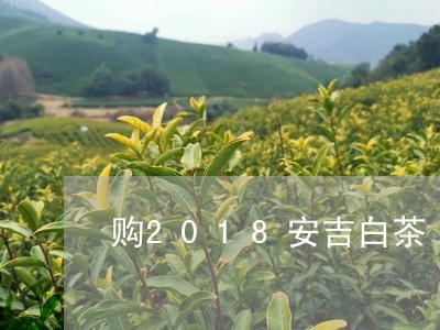 购2018安吉白茶/2023071390794