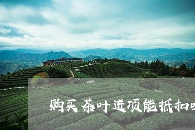 购买茶叶进项能抵扣吗/2023092312928