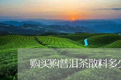 购买购普洱茶散料多少钱一斤/2023051074146