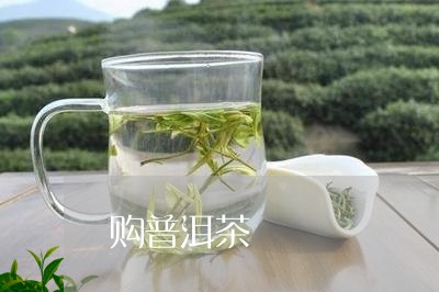 购普洱茶/2023121875937