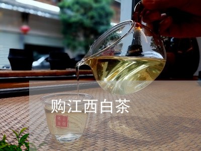 购江西白茶/2023051287360