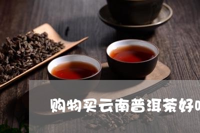 购物买云南普洱茶好吗/2023110331684