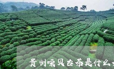 贵州哚贝古茶是什么茶/2023071404250