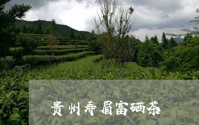 贵州寿眉富硒茶/2023112545947