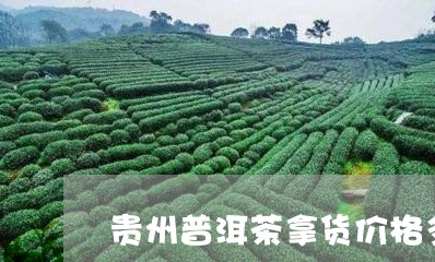 贵州普洱茶拿货价格多少/2023120706047