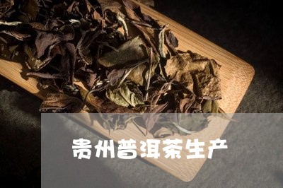 贵州普洱茶生产/2023121835050