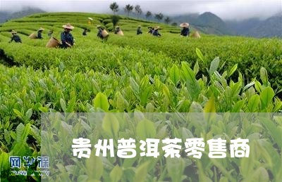 贵州普洱茶零售商/2023121884958