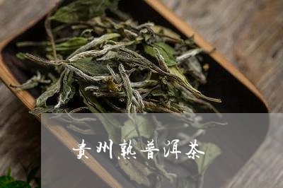 贵州熟普洱茶/2023042796179