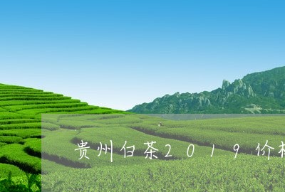 贵州白茶2019价格/2023092715847