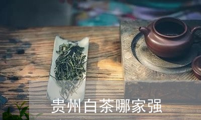 贵州白茶哪家强/2023061171594