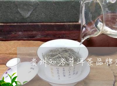 贵州知名普洱茶品牌有那些/2023121827159