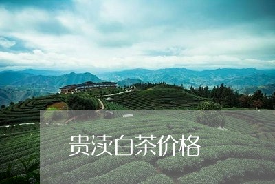 贵渎白茶价格/2023052481048