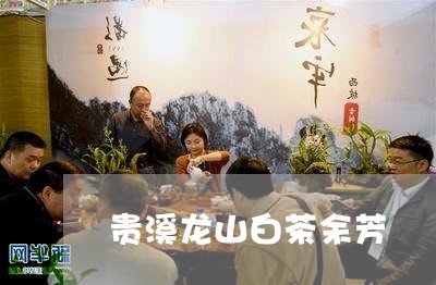 贵溪龙山白茶余芳/2023071213707