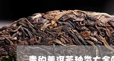 贵的普洱茶种类大全图册/2023110874937