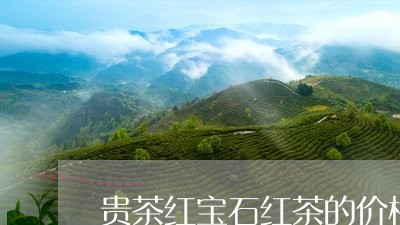 贵茶红宝石红茶的价格/2023092161714