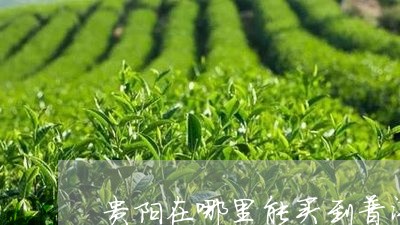 贵阳在哪里能买到普洱茶/2023122042936