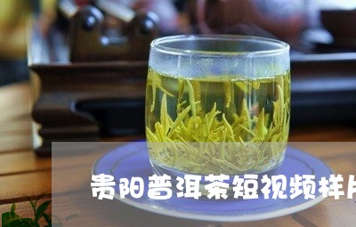 贵阳普洱茶短视频样片/2023062551705