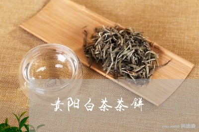 贵阳白茶茶饼/2023052574030