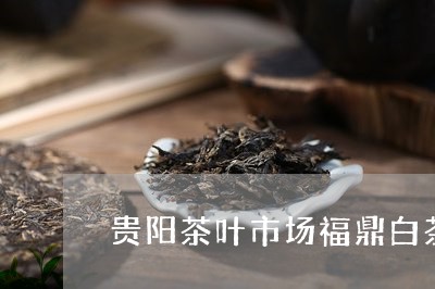 贵阳茶叶市场福鼎白茶/2023120712825