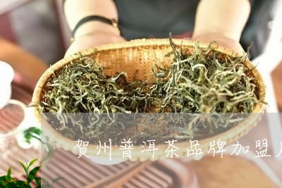贺州普洱茶品牌加盟店排行榜/2023121882794