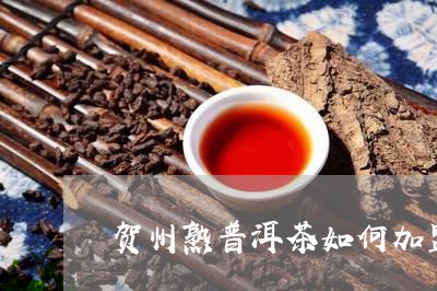 贺州熟普洱茶如何加盟代理/2023121850614