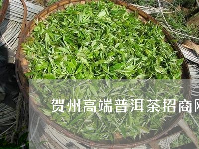 贺州高端普洱茶招商网/2023061434926