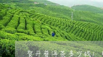 贺开普洱茶多少钱1斤/2023092694057