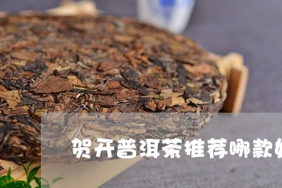 贺开普洱茶推荐哪款好喝/2023112741605