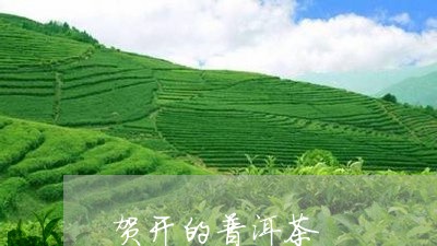 贺开的普洱茶/2023042527431