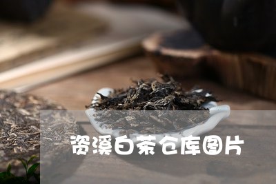 资溪白茶仓库图片/2023071296350