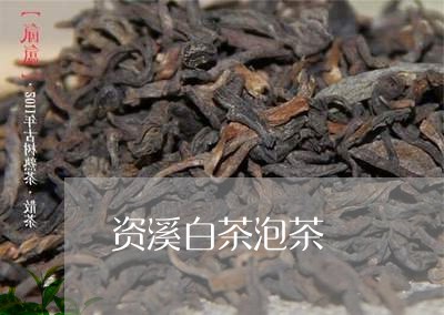 资溪白茶泡茶/2023052557461