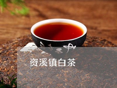 资溪镇白茶/2023051208270