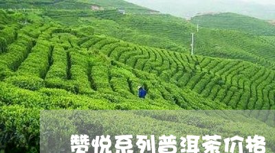 赞悦系列普洱茶价格/2023083181695