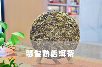 赞皇熟普洱茶/2023042685356