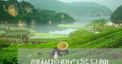 赣州福鼎白茶品牌/2023071263724