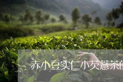 赤小豆实仁小芡薏茶的作用/2023051146382